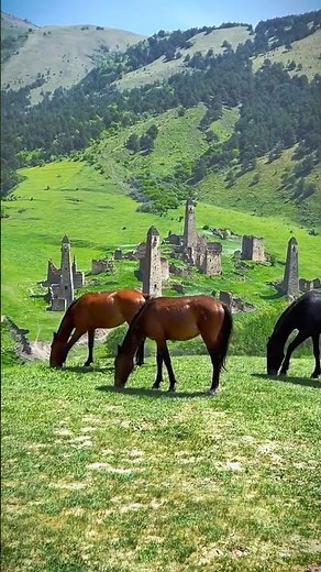 踏上草原，便是踏上一场心灵的放逐与回归。#治愈系风景 #草原风光 #旅行推荐官