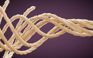 Blender 几何节点 4.0 麻绳编制动画