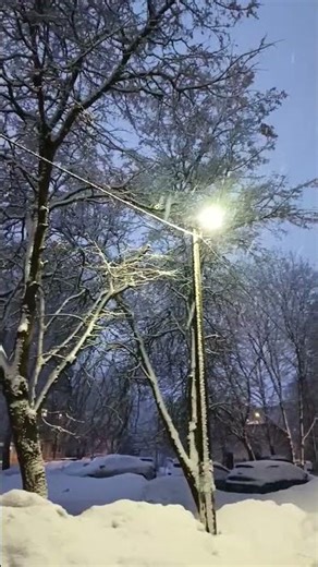 Amazing snow fall #originalcontent #realvideo #realfactz #snow