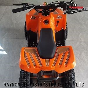 [Hot Item] 49cc Mini Quad ATV Quad Bike Hot Sales for Kids