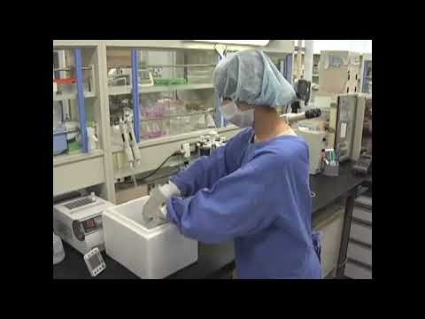 Utilization of ethylene glycol for the vitrification process in mouse embryo cryopreservation.