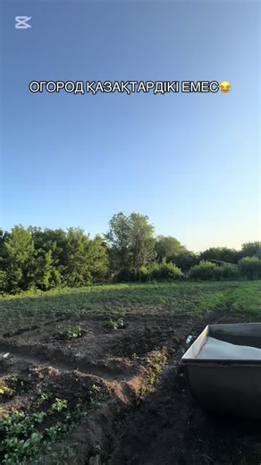 #ауылым #урджарвко #ауылвайб #ауыл #урджар