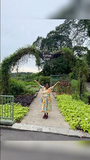 #singapore 🥰Unforgettable Day with Animals | Singapore Zoo Experience 🐒