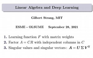 Linear Algebra and Deep Learning, Gilbert Strang
