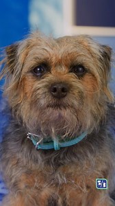 Fifth Third Bank on Reels