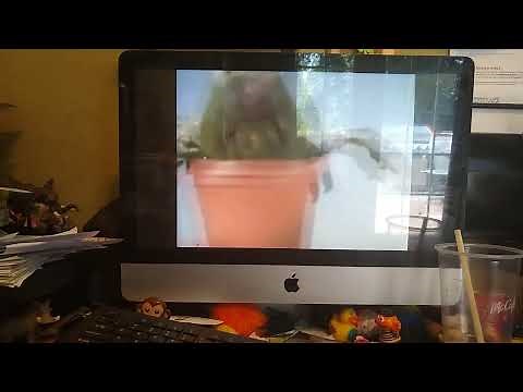 Elmo's World Flowers Plants And Trees Home Video (Stinky The Plant)