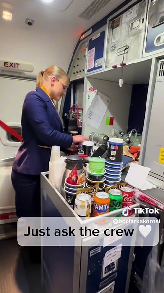 Essential Flight Attendant Tips for Travelers