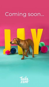 What's tasty, full of joy and made specially for the goodest girls and boys?✨ | tails.com