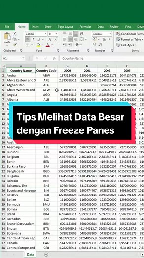Cara Mudah Kunci Header di Excel