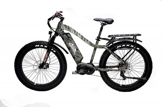 Bakcou Electric Bike