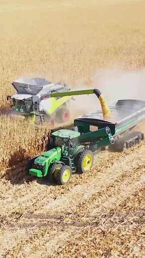 Understanding the Origins of Maize in US Farming