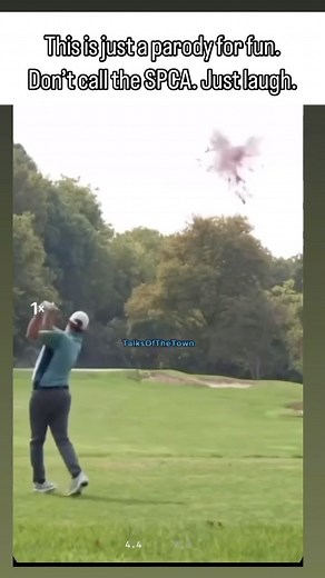 82K views · 775 reactions | This is just a parody for fun. Don’t call the SPCA. Just laugh. | Dave Constine | Facebook