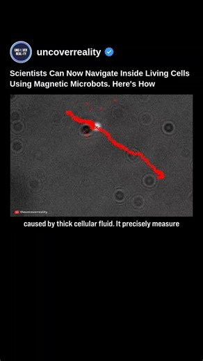 Scientists Can Now Navigate Inside Living Cells Using Magnetic Microbots 😱 Here's How #robot #shorts