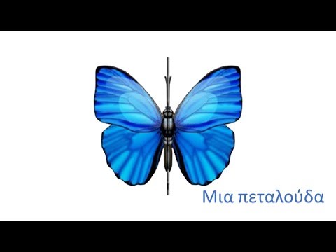 Η συμμετρία για μικρά παιδιά