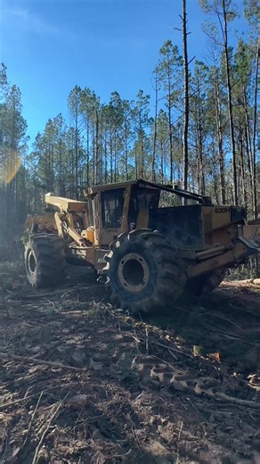 Selling Bean Poles for Logging and Forestry Equipment