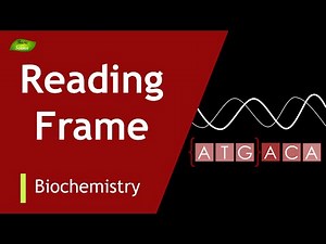 Decoding the code-1 | ORF| Codons | Overlapping Codons | Protein synthesis | BIOCHEM | Part-2