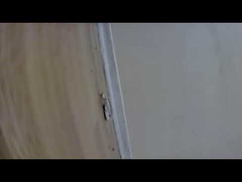 8 Pool Live Stream 🎱 - Table N°table1