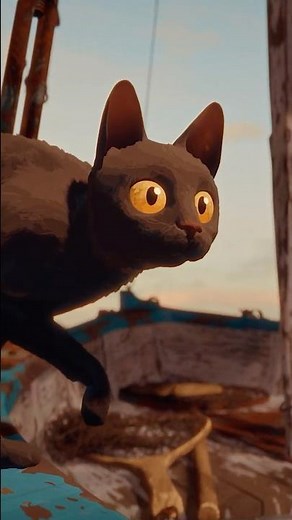 Dia do Gato! Assista Flow no Filmelier+ via Prime Video e Roku! 🐈‍⬛ #Filme #Oscar #Gato