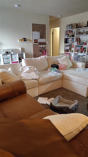 Couch was a little messy but now it's not! #cleaningtiktok #clean #cleaning #cleantok #tiktoktimerchallenge