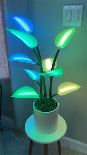 Meg Richardson ✨ on Instagram: "Meet the Fluora Mini — the smart light that turns any moment into a mesmerizing experience. Unbox it 📦Set it up in minutes ⏰ Then sit back and let it work its magic 🌿💡😍@fluoraplant #Fluora #SmartLighting #AmbientVibes #HomeAesthetic #TechMeetsArt #FluoraMini #Ad #HomeUpgrade #Lights #Trending #Plant"