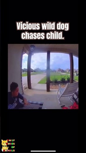 boy and man chased by dogs