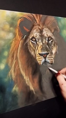 Lion in Pastel – Original Artwork on Pastel Mat – Wildlife Art for Collectors – Lion Portrait, Gift for Animal Lovers - Etsy