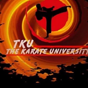 168 reactions · 26 shares | Enroll Today 21 Days for FREE | The Karate University | Facebook