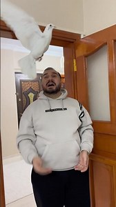 White bird or spotted bird? #shortvideo