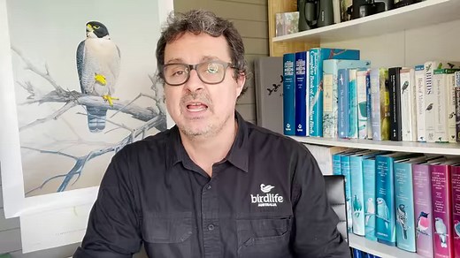 14K views · 591 reactions | Is it a murder of Crows? Or is it an...