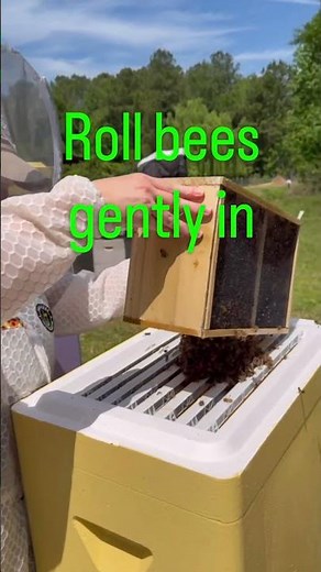Package Bee Installation in the Primal Beehive. Getting this hive started is an exciting adventure!