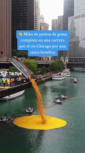 Chicago Ducky Derby: ¡Patitos por una buena causa!