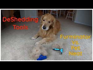 Golden Retriever Furminator DeShedding Review | Oshies World
