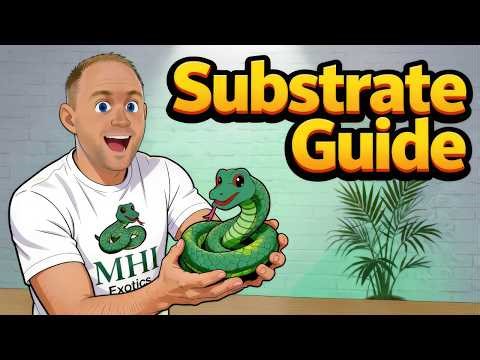 Reptile Substrate Guide: Which One is Actually Best for YOUR Snake?