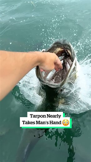 What would have happened if he hadn't moved his hand?! 😳 🎥: ViralHog | VT