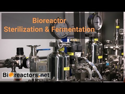Stainless Steel Bioreactor Guide | Fermentation & Sterilization | No.8