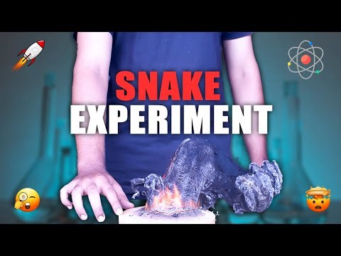 The Ultimate Chemical Snake Experiment! (Must See)