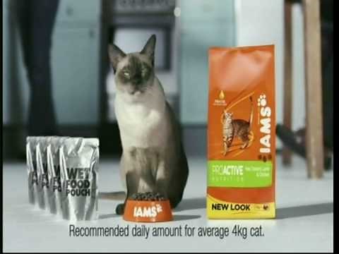 IAMS Cat Food 'I Am More Than Just A Cat' Advert.avi