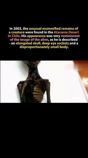 Atacama “Alien” Mummy Discovery