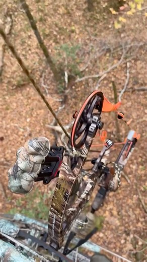 DIY tangle free pull-up hunting rope #huntingtips #bowhunting #deerhunting