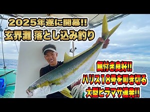 【玄海灘】2025年開幕❕玄界灘落とし込み釣り餌付き抜群❕餌となるイワシが暴れるドキドキ感が止まらない❕❕#釣り #落とし込み #玄界灘 #ヒラマサ