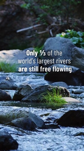Personally, we’re into setting boundaries. But when it comes to rivers? Let them flow free! https://nature.ly/4nB0lYe | The Nature Conservancy