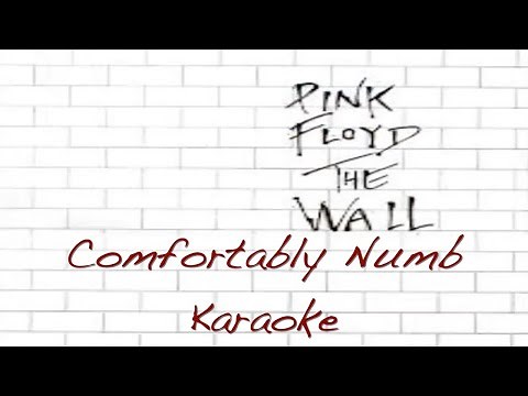 Comfortably Numb Karaoke HB