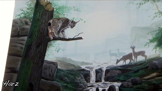 What would happen if we released lynx into the wild?