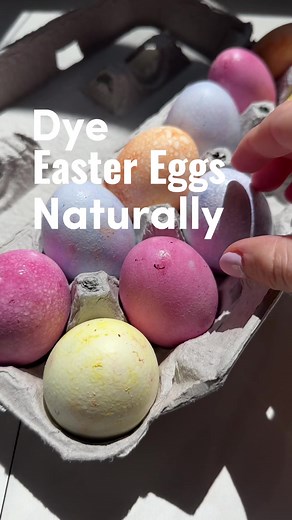 🐣 🌷Dye your Easter eggs naturally this year with scraps and ingredients you already have in your home:Red cabbage = blue, Beets= pink, Yellow onion skins= orange, Turmeric= yellow How to do it: 1 cup of water per 1 cup of veggies, Add ingredients, Boil water and let sit for 15-20min, Remove from stove and strain, Add 1 TBSP of vinegar per 1 cup of dye, Add hard boiled egg and refrigerate #sustainableliving #zerowasteliving #easter #eastereggs #eastereggdying #nofoodwaste | Zero Waste Cartel