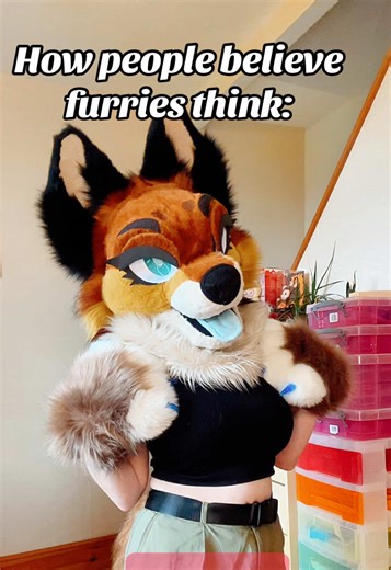 Understanding Misconceptions About Furries
