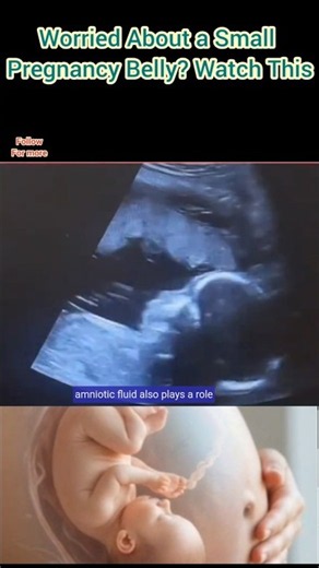Small Baby Bump? Does It Mean Your Baby Is Small? | Pregnancy Myths Explained