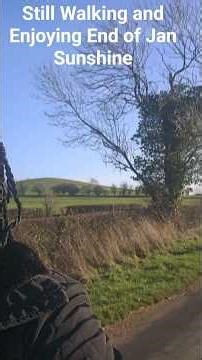 Walking is Therapeutic!