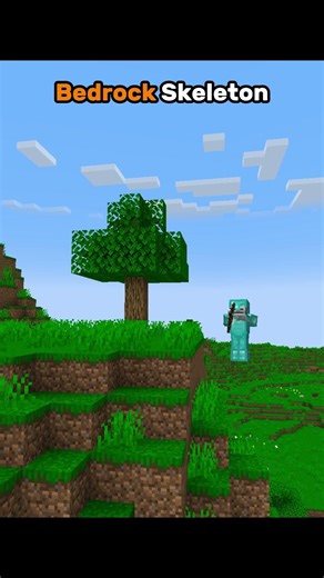 Java VS Bedrock Skeleton in Minecraft