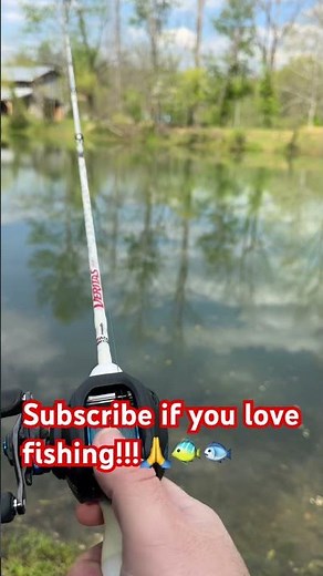 Shimano slx dc #review #fishing #shimanoslx #fyp #shorts