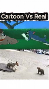2.6K views · 40 reactions | Cartoon Vs Real Life | Viral Videos | Facebook